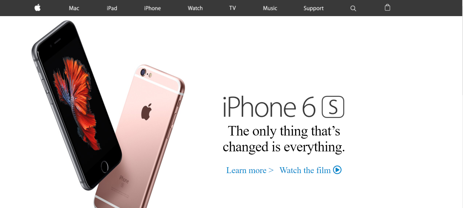 Apple website image